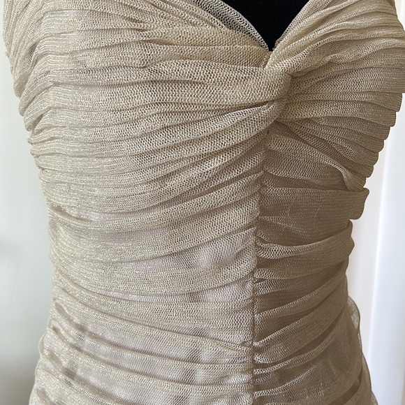 Tadashi Shoji Gold Mesh Sweetheart Dress 12 EUC - Picture 5 of 16